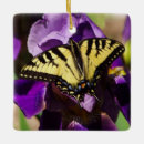 Search for yellow butterflies ornaments Wildlife