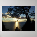 Search for spotlight posters Nature