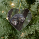 Search for possum ornaments Wildlife
