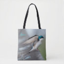 Search for swallow bags Bird