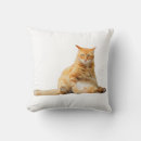 Recherche de chat doux coussins Chaton