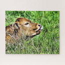 Search for cow puzzles Cute