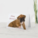 Search for boxer christmas cards Dogs
