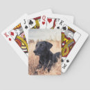Recherche de labrador noir jeux de cartes Animal