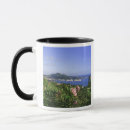 Search for st thomas mugs Scene