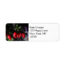 Search for spicy return address labels Chili pepper