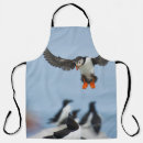 Search for atlantic aprons Puffin