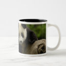 Recherche de un panda géant tasses Asie