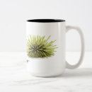 Recherche de oursins tasses Océan