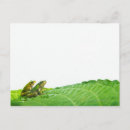 Search for scale leaf postcards Cold blooded