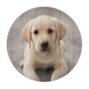 Search for labrador cutting boards Puppy