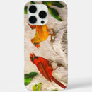 Search for cardinal bird iphone cases Cardinals