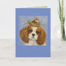 Search for charlotte cards Dog