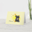Search for schnauzer cards Puppies