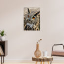 Search for cute owl posters Big eyes