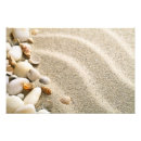 Search for pebble posters Summer