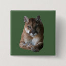 Search for “cougar buttons Mountain lion