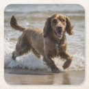 Recherche de cocker spaniel dessous de verres Espagne