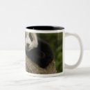 Search for temper mugs Temperate bamboo forest
