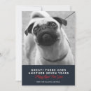 Recherche de nouvel animal familier vœux cartes Chien