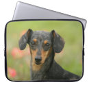 Search for short sleeve electronics Canine photographer