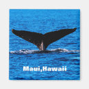 Recherche de boose magnets Baleine