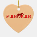 Search for mule ornaments Equine