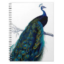 Recherche de paon vintage carnets Coloré