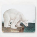 Search for arctic animal electronics Ursus maritimus