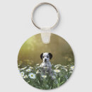 Recherche de dalmate porteclés Dog