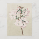 Recherche de rose clair cartes postales Floral