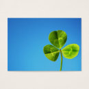 Search for paddys photography Nature