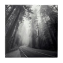 Recherche de séquoia carreaux Paysage
