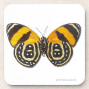Recherche de se reposer assez Nature