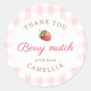 Search for pink gingham stickers Girl 1st birthday
