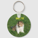 Search for shetland keychains Canine