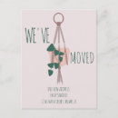 Search for hanging postcards Plants