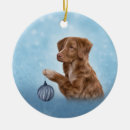 Search for nova scotia ornaments Colourful