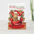 Search for tabby cat christmas cards Pets