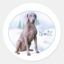 Search for weimaraner stickers Lover