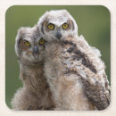 Recherche de à cornes dessous de verres Hibou