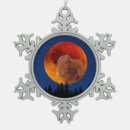 Search for beaver ornaments Winter