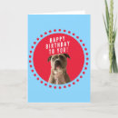 Search for pitbull birthday cards Animal