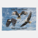 Recherche de aigle chauve cuisine linges Oiseaux