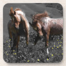 Recherche de étalon dessous de verres Chevaux