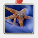 Search for sea life ornaments Colour