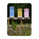 Recherche de ruches magnets Abeilles