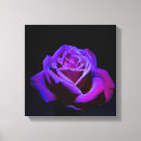 Search for drop canvas prints Purple