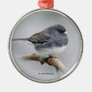 Recherche de ardoise ornements Oiseau