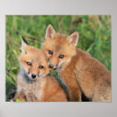 Search for nom nom nom posters Cute